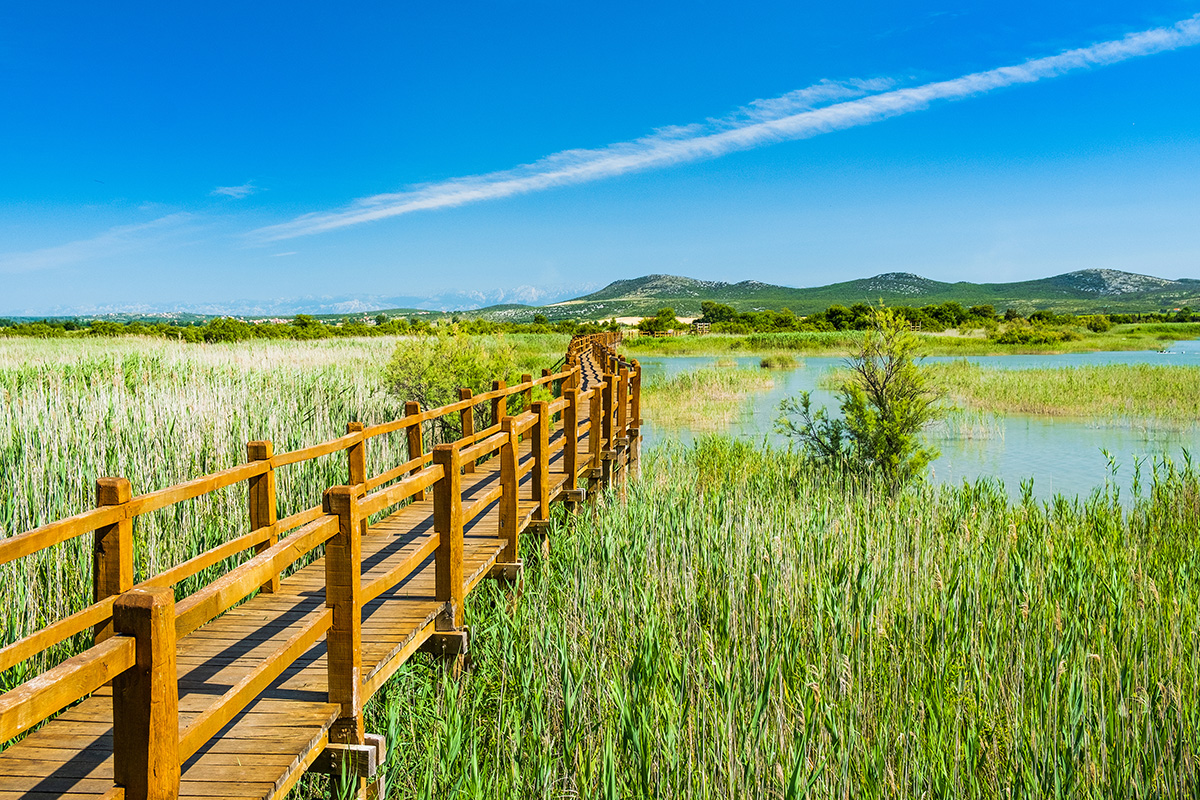 Schönheit der Natur im Frühling im Naturpark Vrana See